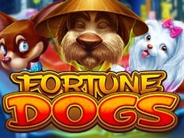 Fortune Dogs